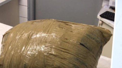 Así encuentra a su perro al recogerlo de la residencia canina.