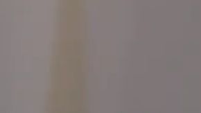 El presidente Trump se refirió en 2018 como "animales" a miembros de pandillas.