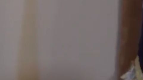 El presidente Trump se refirió en 2018 como "animales" a miembros de pandillas.