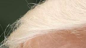 El presidente Trump despidió a Yates en enero de 2017.