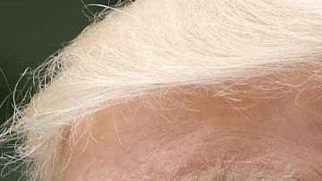 El presidente Trump despidió a Yates en enero de 2017.