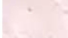 A la víctima se le ve sentada con los ojos vendados.