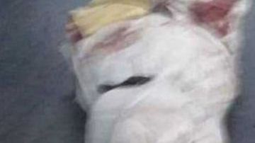 Violencia deja varios muertos en Tijuana