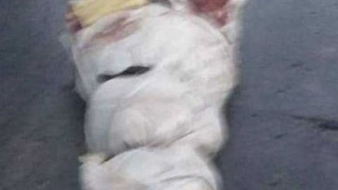 Violencia deja varios muertos en Tijuana