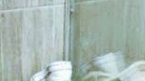 CJNG podría estar detrás de violencia en CDMX