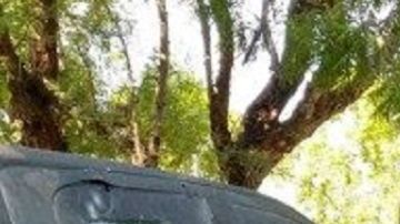 El enfrentamiento terminó con un muerto y cuatro detenidos.