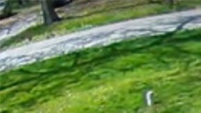 Además de entregar el paquete con rudeza, la chofer decidió dejar 'algo más' en esta calle.