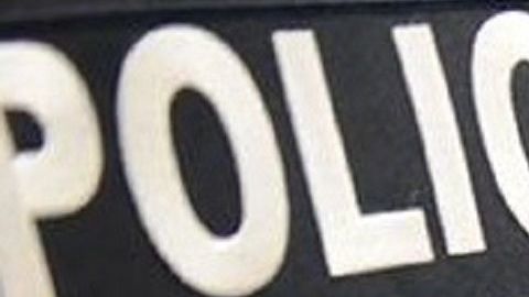 ICE mantiene sus operativos contra indocumentados.