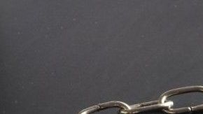 Bloxham fue arrestado.