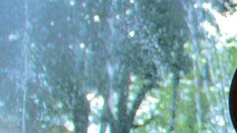 Estefany Méndez fue despedida de Univision 14 San José por no llegarle a tiempo su renovación de DACA. (Foto suministrada0.