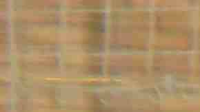 El Deportivo Guerrero se quedó con la copa de campeones del invierno en la División Mayor. (Javier Quiroz / La Raza)