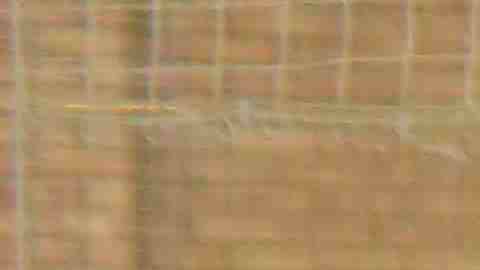 El Deportivo Guerrero se quedó con la copa de campeones del invierno en la División Mayor. (Javier Quiroz / La Raza)