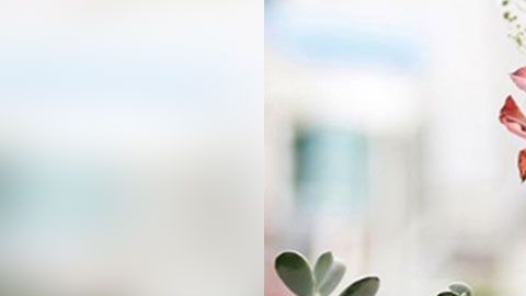 Samsung ha reinventado los extintores de incendios.