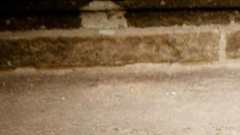 La novia se sintió muy traicionada.