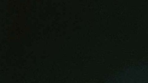 En portada: Ford Mustang 1964. El Mustang que se restauró por la pareja aparece abajo