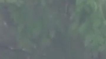 Contreras mientras trabajaba.