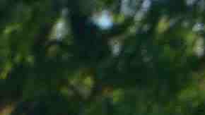 La Liga San José ofrece $10 mil al campeón de este verano en Chicago. (Javier Quiroz / La Raza)