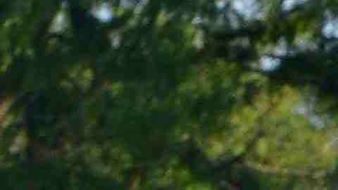 La Liga San José ofrece $10 mil al campeón de este verano en Chicago. (Javier Quiroz / La Raza)