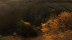 gallery_sorento_2019_exterior_awd-trail--kia-1280x-jpg