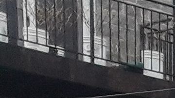 Según las autoridades, los robos ocurrieron entre diciembre y enero en el vecindario de Austin al oeste de la ciudad.