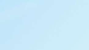 Los hechos ocurrieron en la entrada noroeste de la avenida Pennsylvania.