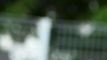 Hailey Baldwin y Justin Bieber.