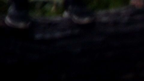 Inmigrantes de Honduras cruzan el río Suchiate en la frontera con México.