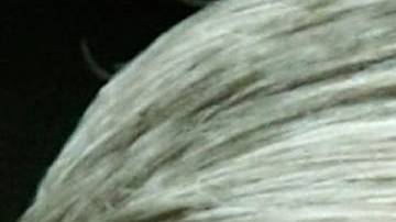 Trump ha tratado de desprestigiar la investigación de Mueller constantemente