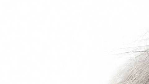 Trump llamó "somnoliento" a Biden