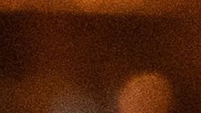 También se reporta que en sus viajes a Mar-a-Lago la pareja presidencial pasa más tiempo junta.