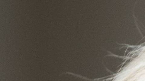 Trump nombró a Kevin McAleenan, el actual Comisionado de CBP como su reemplazo