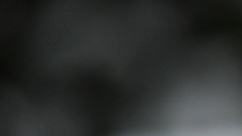 El presidente Trump presume que no intentó obstruir la justicia.