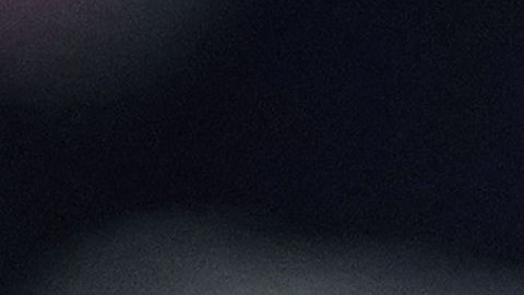 Trump se quejó contra su cadena favorita por dar tiempo a Bernie Sanders