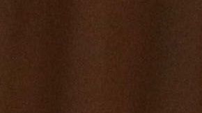 Alexandria Ocasio-Cortez es una de las estrellas ascendentes del Partido Demócrata.