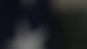 El presidente Trump busca cumplir sus objetivos migratorios.