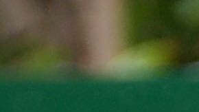 Yalitza Aparicio está recibiendo ofertas.