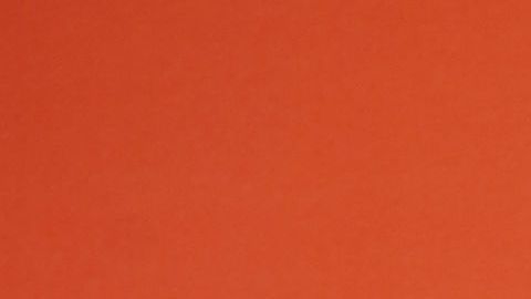 Ana Patricia Gámez.