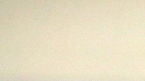 President Donald Trump Addresses The National Association Of Attorneys General