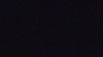 Arnold Schwarzenegger.