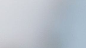 Nielsen estuvo al mando de la política de "cero tolerancia"