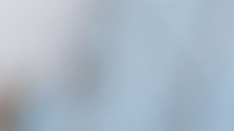 Nielsen estuvo al mando de la política de "cero tolerancia"