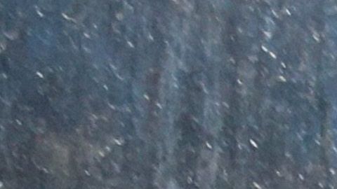 Julian Assange Arrested