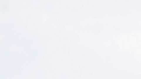 Otras catedrales suenan sus campanas en honor a Notre Dame.