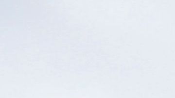 Catedral de Notre Dame