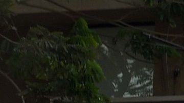 Bernie Sanders pide salarios justos para empleados de Disney.