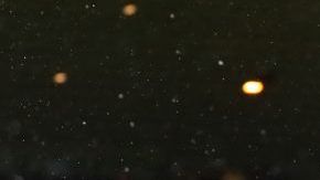 Diogo Jota celebra un gol del Wolverhampton ante el Manchester United con el mexicano Raúl Jiménez.