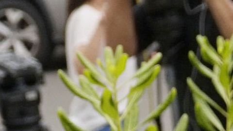 El Director Ejecutivo, Rabi Ysrael Goldstein, quien recibió un disparo en las manos, abraza a sus feligreses después de una conferencia de prensa fuera de la Sinagoga de Jabad de Poway el 28 de abril de 2019 en Poway, California.