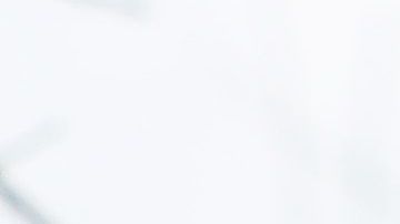 Nielsen reiteró a Trump porque no puede reanudar la separación familiar en la frontera