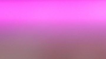 El piloto mexicano Sergio Perez de la escudería Racing Point se alegra de haber concluido el Grand Prix de China en octavo lugar.