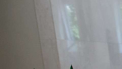 La CIA combina el humor y la institucionalidad en su Twitter.